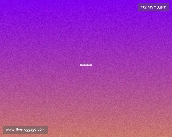 女排最新赛事安排